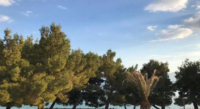 Номер Standard Sajeta Beach Apartments