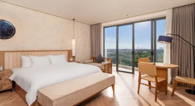 Люкс Mona Luxe Apartment Hoi An