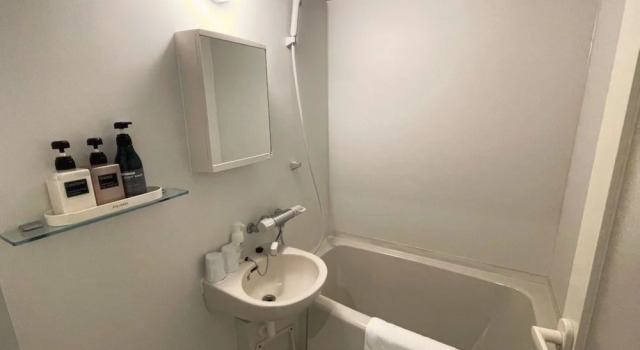 Двухместный номер Deluxe Shinjuku Sun Park Hotel