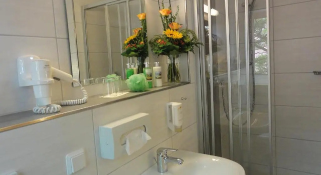 Номер Classic Vitalhotel am Stadtpark Superior