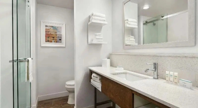 Студия Hampton Inn And Suites By Hilton Johns Creek