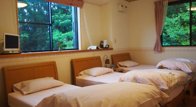 Номер Standard Yakushima Pension Ichigoichie