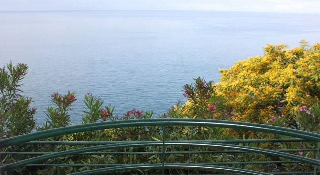 Lobos Bay
