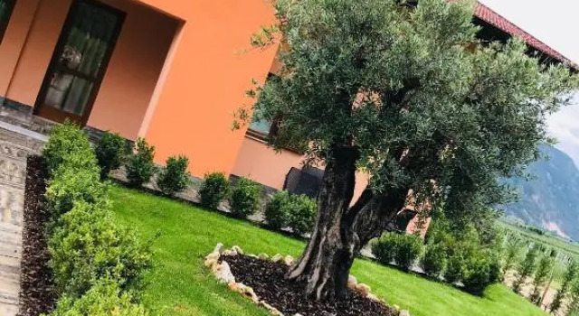 Номер Deluxe Agriturismo Maso Miri