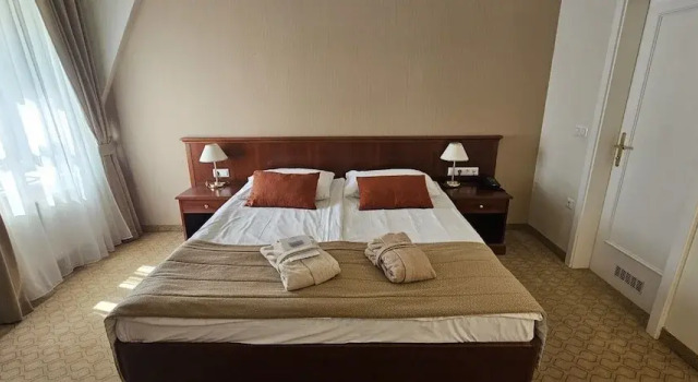 Четырёхместный номер Premium Отель Grand Hotel Rogaška