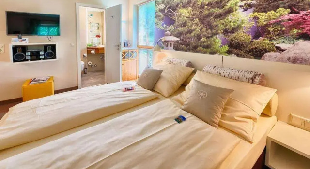 Двухместный номер Standard Hotel Schindlerhof