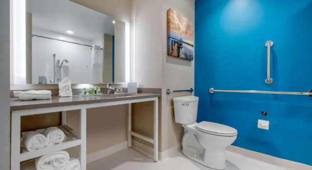 Люкс DoubleTree by Hilton Summerville Nexton