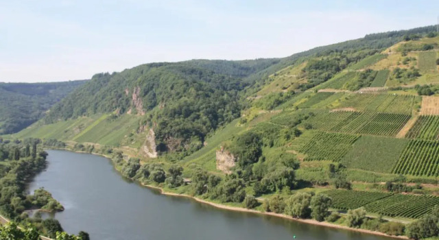Weingut-Brennerei-Gästehaus Emil Dauns, Забронировать Отель Трабен-Трарбах Мозель - Германия