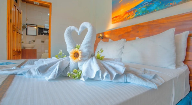 Номер Superior La Fortuna Downtown Boutique Hotel