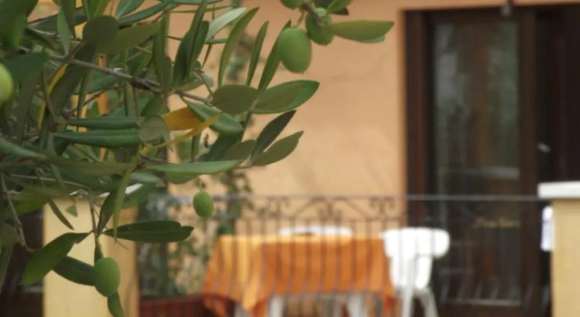 Двухместный номер Standard Park Hotel Cilento