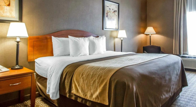 Номер Standard Quality Inn & Suites Benton - Draffenville