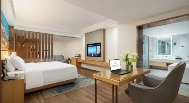 Люкс Business Vienna International Hotel (Guigang Guest World Plaza Gangnan Center)