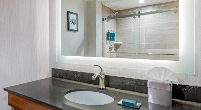 Номер Deluxe DoubleTree by Hilton Hotel Burlington Vermont