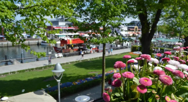 Студия Twee Linden Warnemünde Zentrum