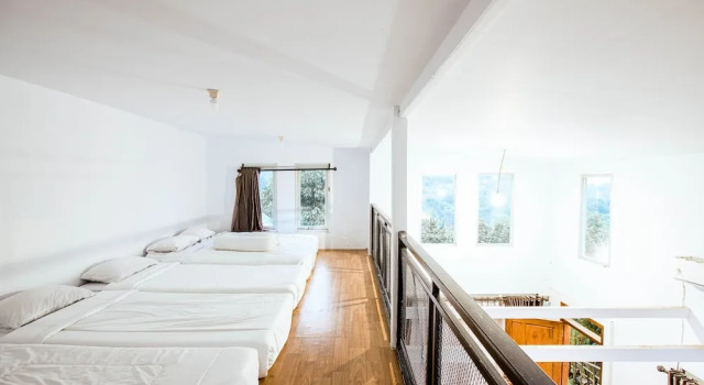 Premier Zimmer Miracle Signature Hills