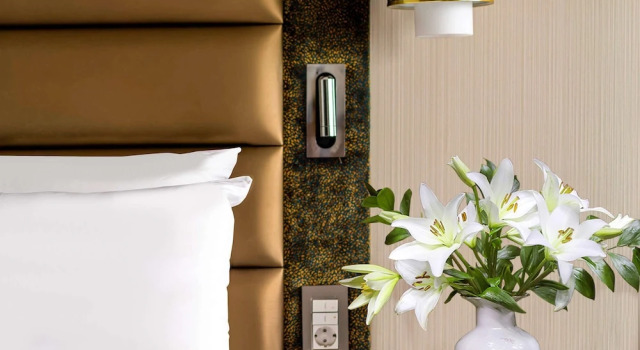 Двухместный люкс Bosphorus The Artisan Hotel Istanbul - MGallery Collection