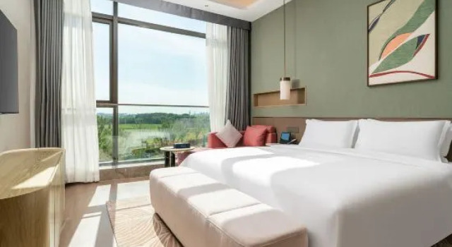 Люкс Wuxi Airport Fliport Garden Hotel