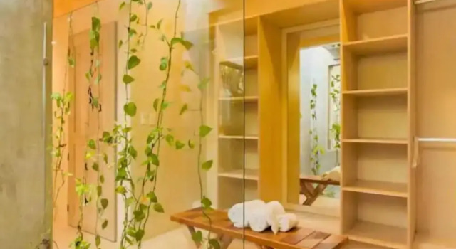 Двухместный номер Deluxe с видом на сад OMA CANCUN - Holistic Healing Center