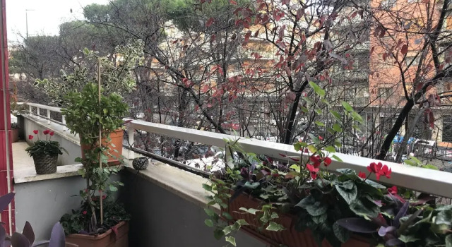 Номер Deluxe Casa Mia Vaticano Guest House
