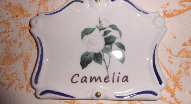 Номер Standard Agriturismo La Dimora Del Contadino