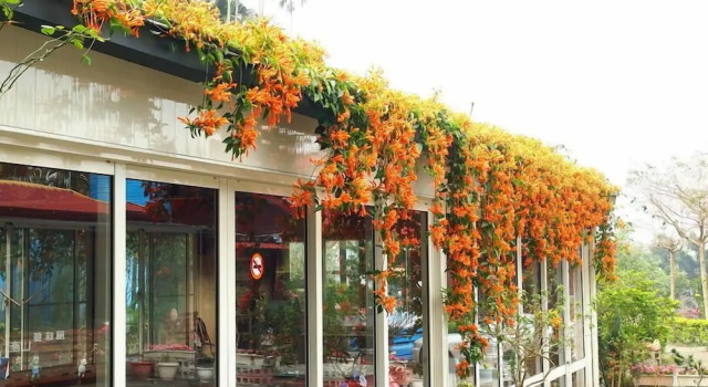Tian Xiu Mountain Village, Reserva ahora Bed & breakfast Gukeng Yunlin County