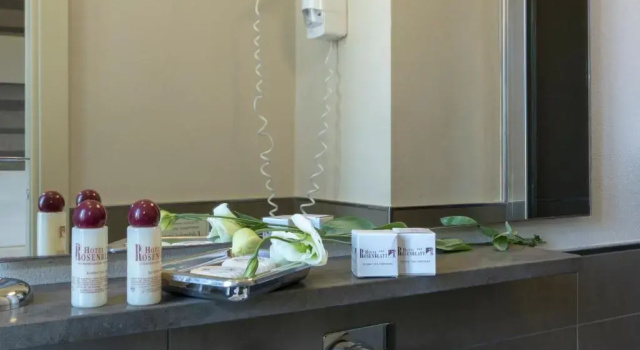 Четырёхместный номер Standard Hotel Rosenblatt