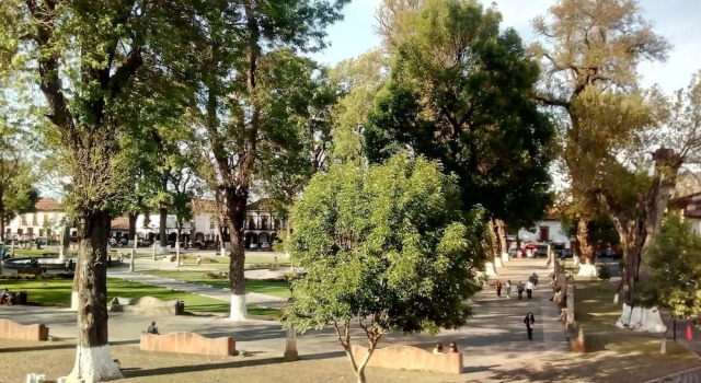 Номер Superior Hotel Casa del Naranjo