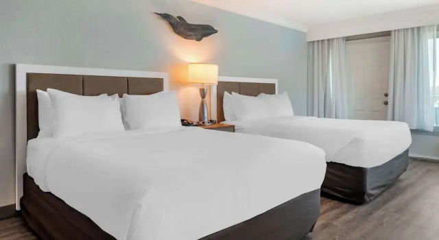 Двухместный номер Standard с балконом и с частичным видом на океан Dolphin Sands Clearwater Beach, an Ascend Collection Hotel