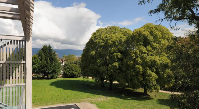 Номер Superior Hôtel de la Source Yverdon-les-Bains