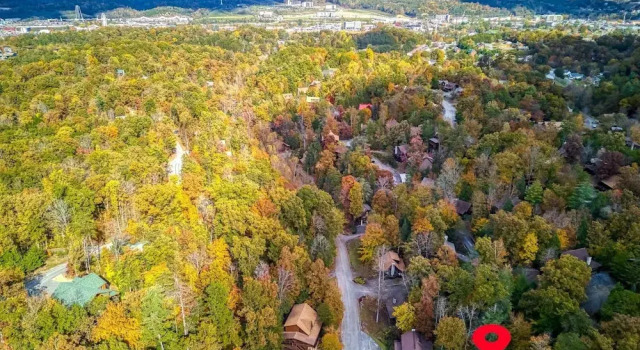 Номер Standard Er202 - Now And Forever Great Location! - Close To Town! 4 Bedroom Cabin by RedAwning