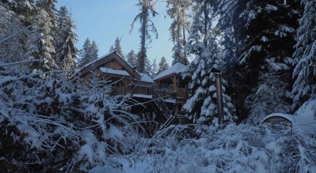 Двухместный номер Standard Les Lodges de Babylone