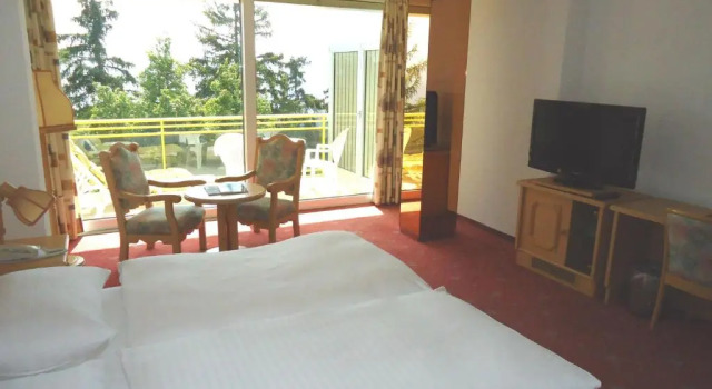 Номер Deluxe Grand Hôtel du Parc