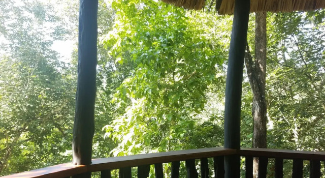 Номер Deluxe Table Rock Jungle Lodge