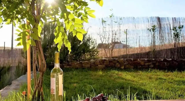 Holiday Home in Guadiana Park near River, Забронировать Дом для отпуска Мертола Байшу-Алентежу