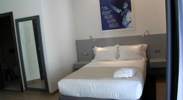 Одноместный номер Standard с балконом Hotel José Régio