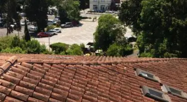Dragica
