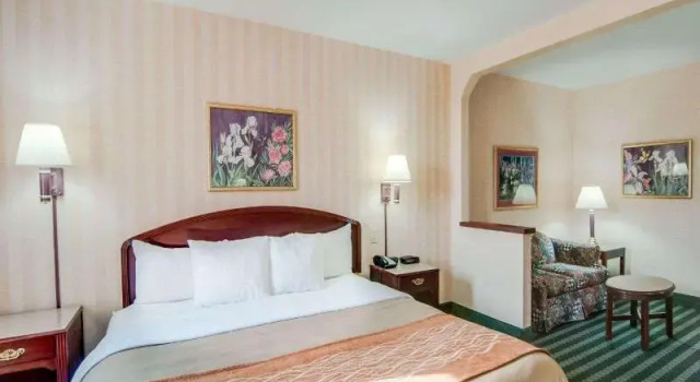 Двухместный люкс Comfort Inn Airport