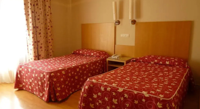 Двухместный номер Standard Hotel Alisa
