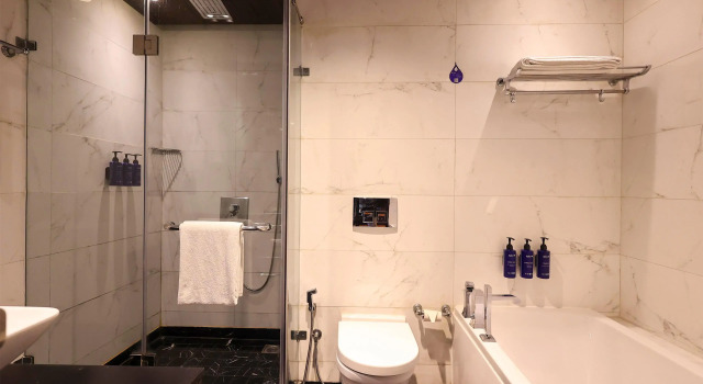 Люкс Radisson Blu Hotel New Delhi Paschim Vihar