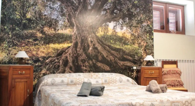 Standard Zimmer Adonis