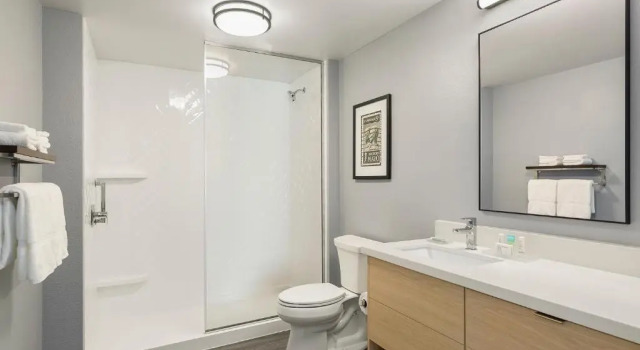 Люкс с 2 комнатами TownePlace Suites By Marriott Rochester Mayo Clinic Area