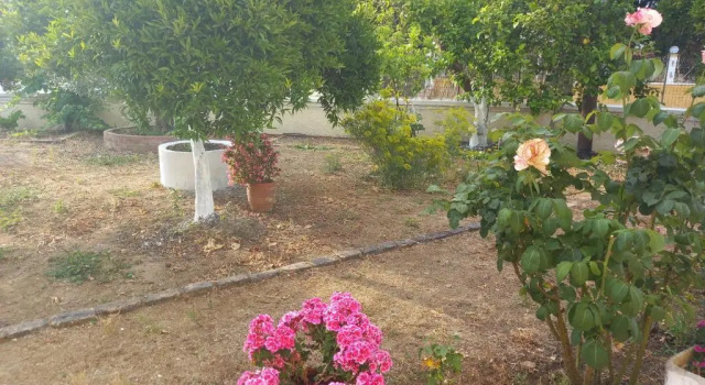 Коттедж Lemon Garden