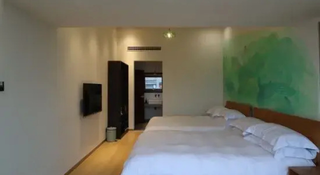 Люкс Galaxy Space Guesthouse