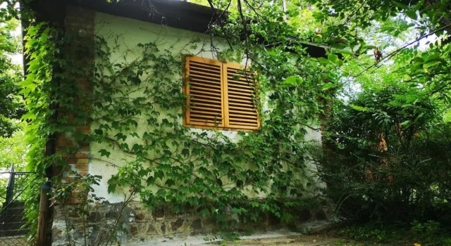 Bocke Beach House, Забронировать Отель Нови-Сад Воеводина