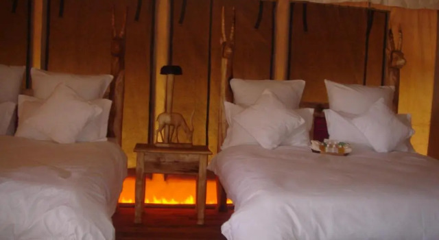 Семейный номер Standard Roika Tarangire Tented Lodge
