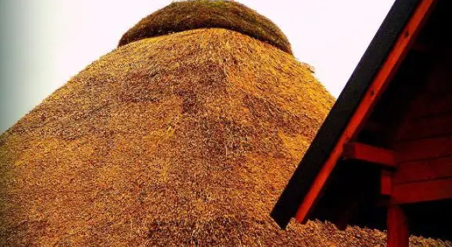 Zagroda
