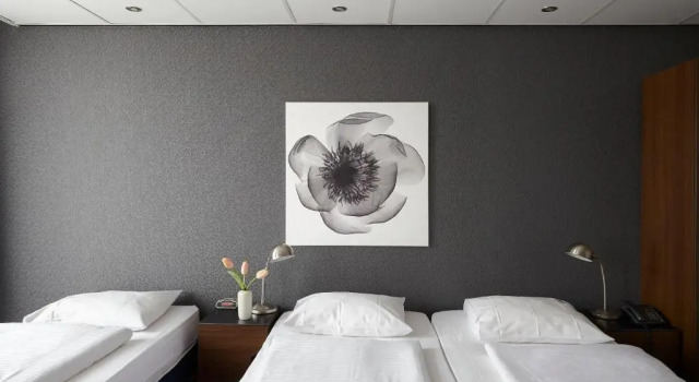 Трёхместный номер Standard Hotel DAmsterdam Leidsesquare