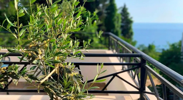 Студия с видом на море Apartments Lungo Mare Ulcinj