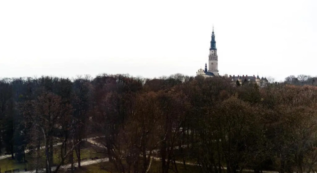 Двухместный номер Superior с видом на парк Mercure Czestochowa Centrum