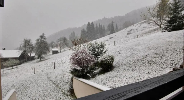 STUDIO 4 PERSONNES - PROCHE PIED DES PISTES - ST JEAN D'AULPS - PROCHE MORZINE - Cimes 18